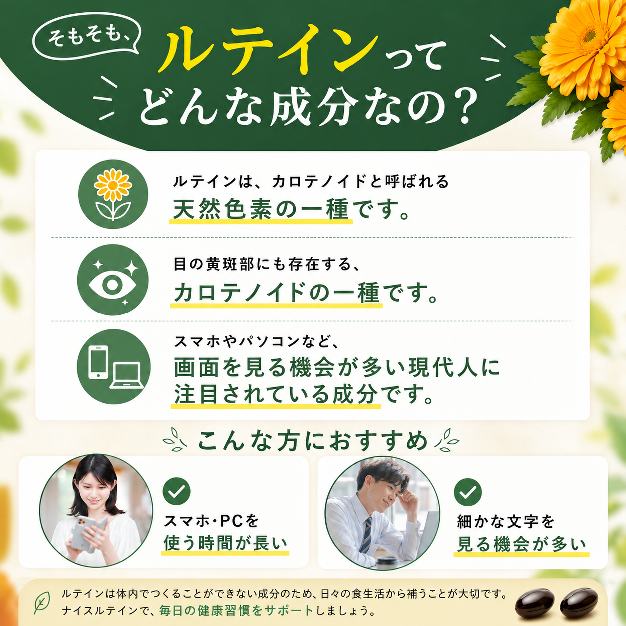 アイナチュラプレミアム ナイスルテインに配合されるルテインを解説。天然色素カロテノイドの一種で、マリーゴールドなどに含まれ、スマートフォンやパソコンなど画面を見る機会が多い現代人に注目されている成分であることを紹介した画像