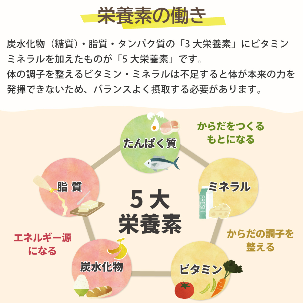 私達の体に必要な栄養素の働き