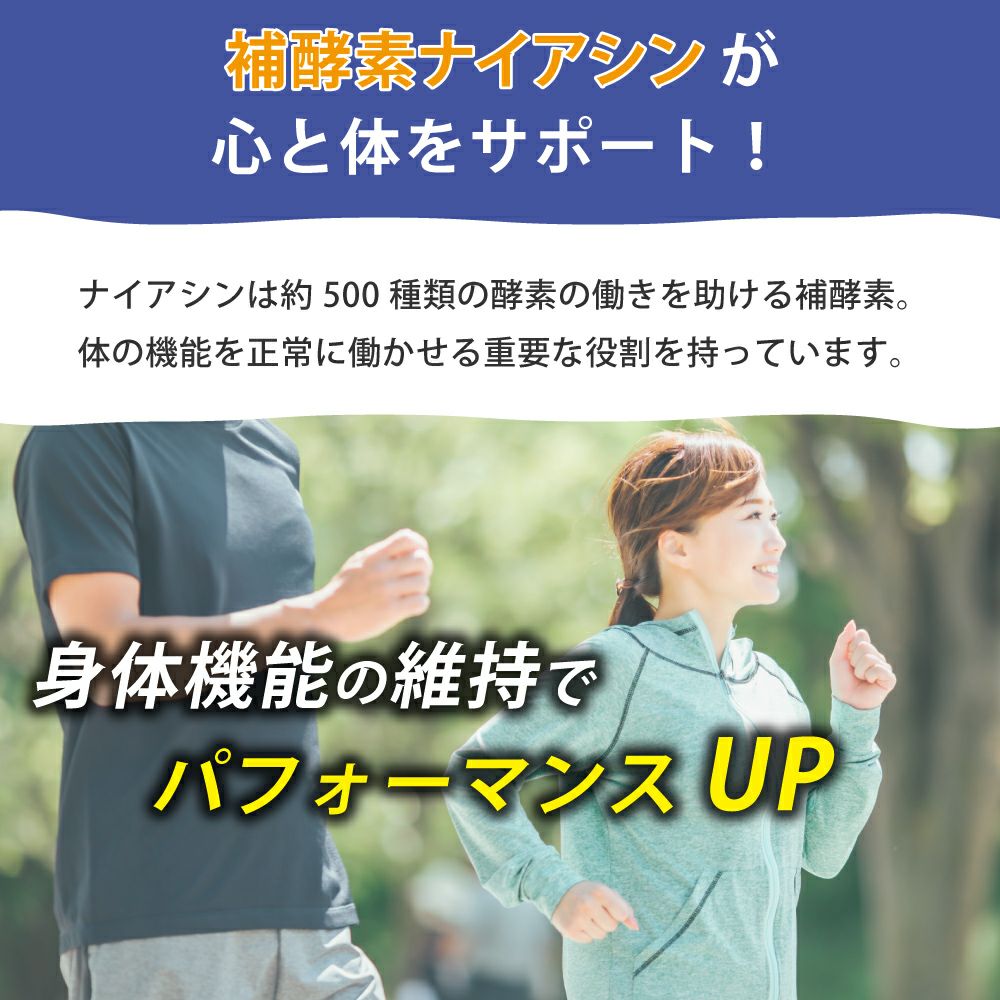 アイナチュラプレミアム　ナイスドライブ