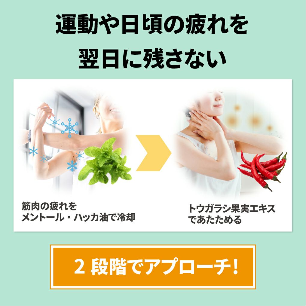 アイナチュラプレミアム　Nw アクティブナイス