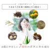 Rクリームはお肌に優しい植物由来エキス配合